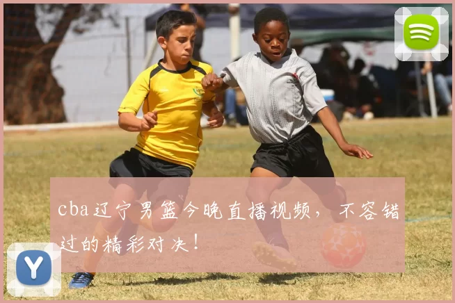 cba辽宁男篮今晚直播视频,不容错过的精彩对决!