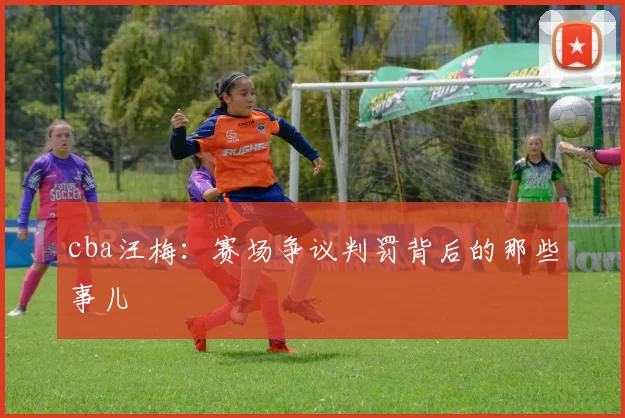 cba汪梅：赛场争议判罚背后的那些事儿